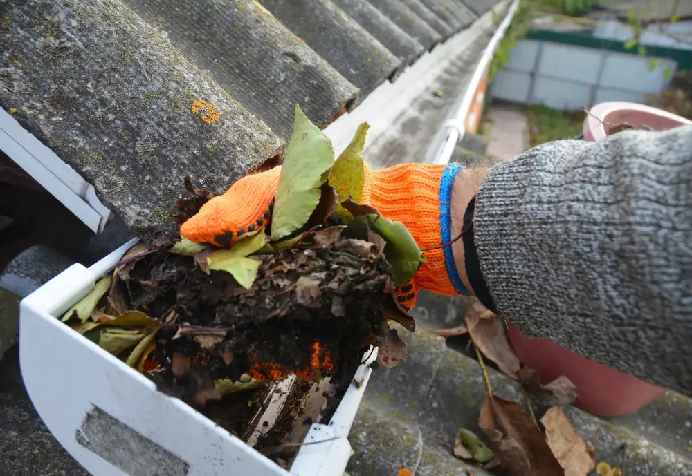 Hands cleaning gutter leaves